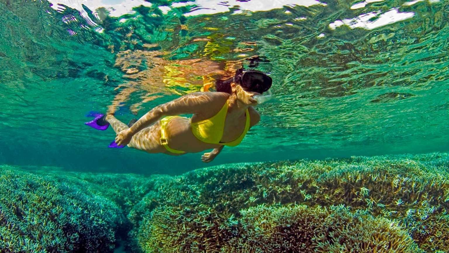 diving snorkelling srilanka