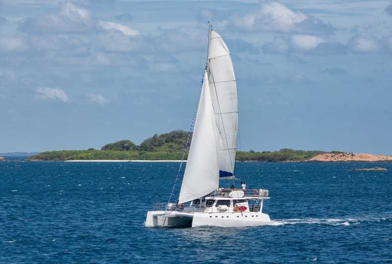 Whales and Dolphins Watching, An Unforgettable Marine Adventure