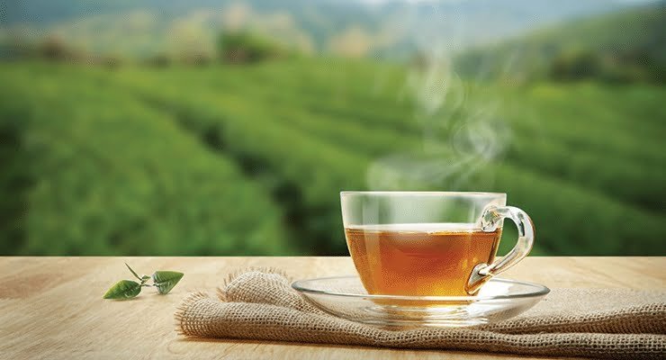 tea-plantation-srilanka