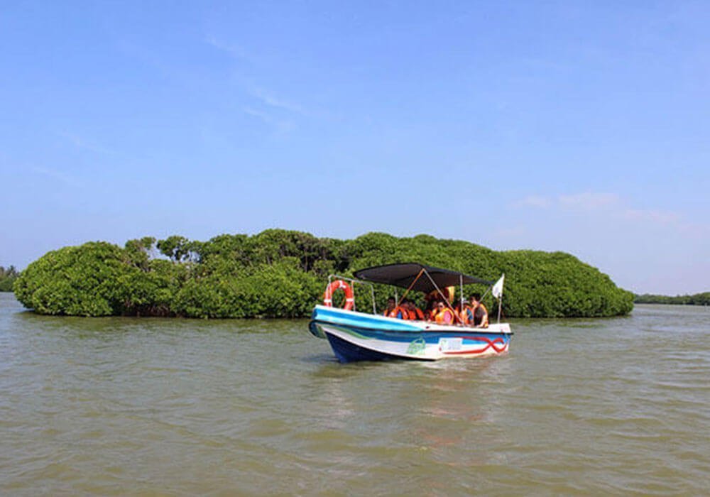 Boat-Ride-negombo-lagoon