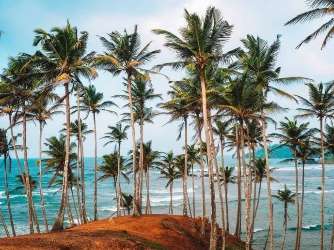 Coconut Tree Hills, Mirissa