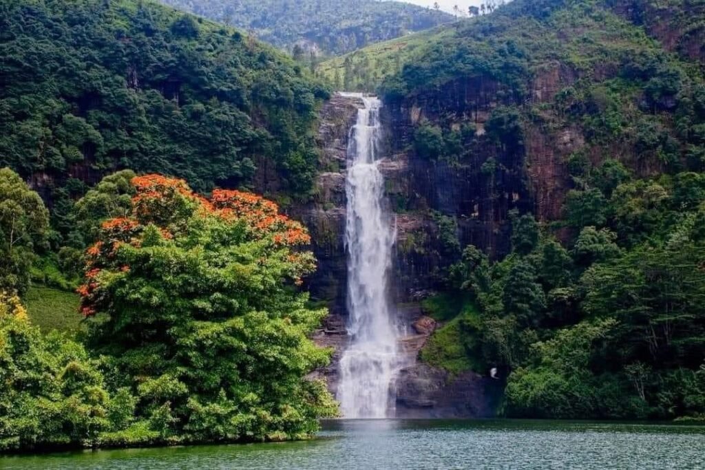 Gartmore / Sripada Fall