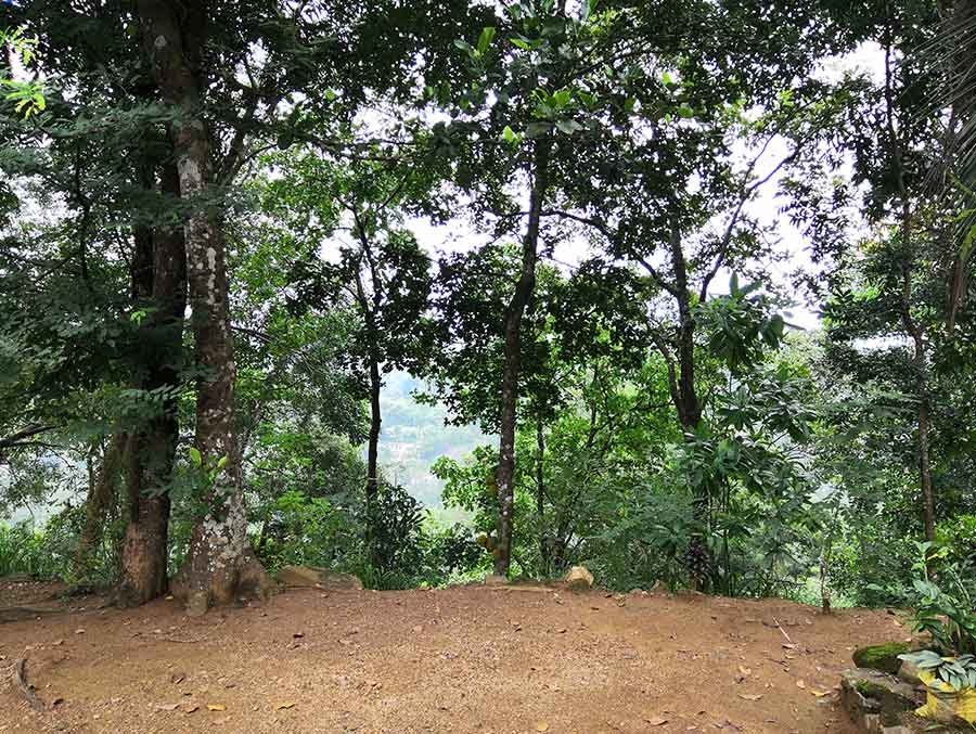 Kurulukele Bird Sanctuary, Pinnawala