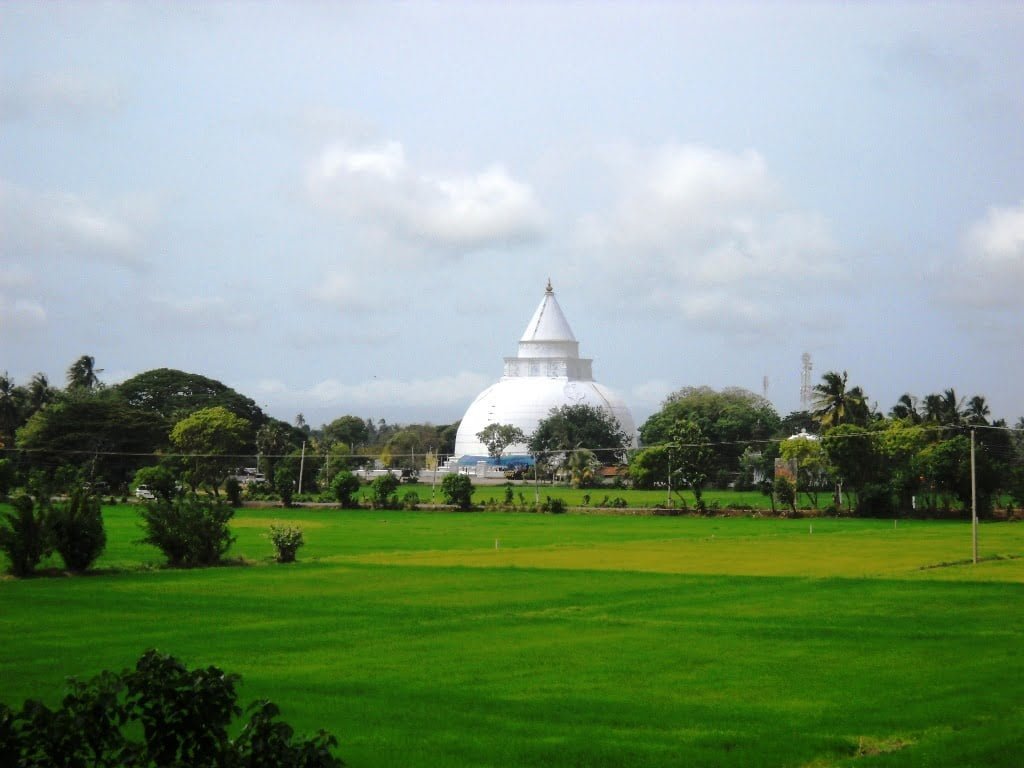 Tissa - Yala, Sri Lanka