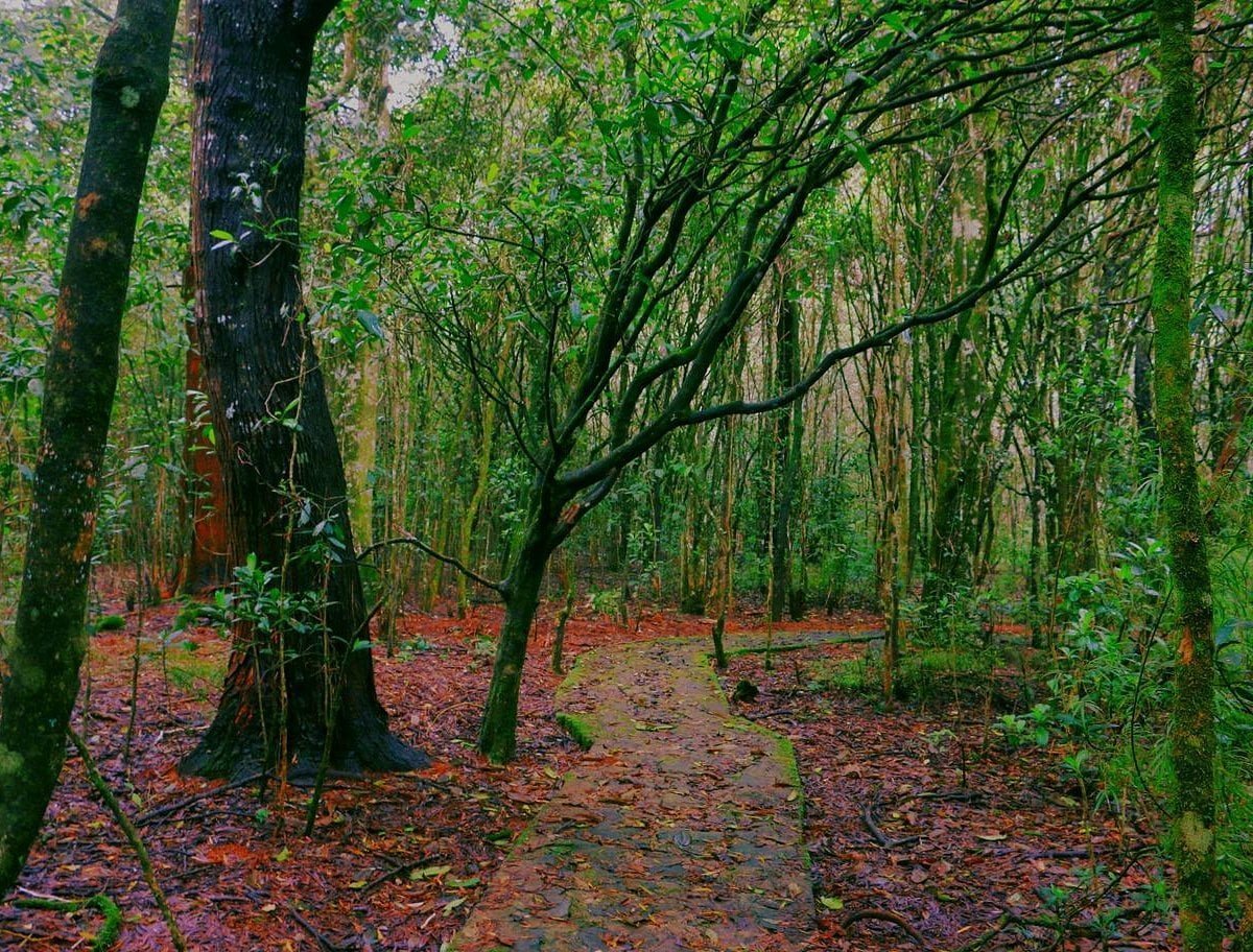Galways Land Park, Nuwaraeliya