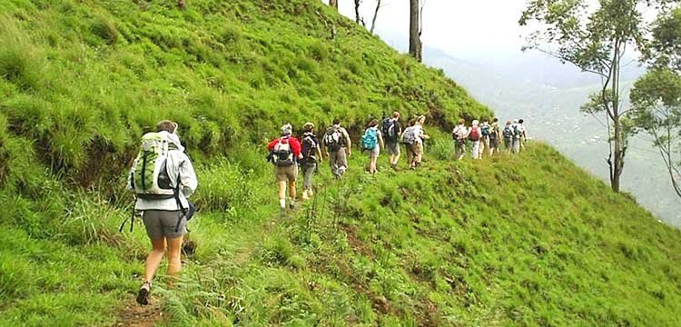 Trekking_Tour_in_Kandy_Knuckles
