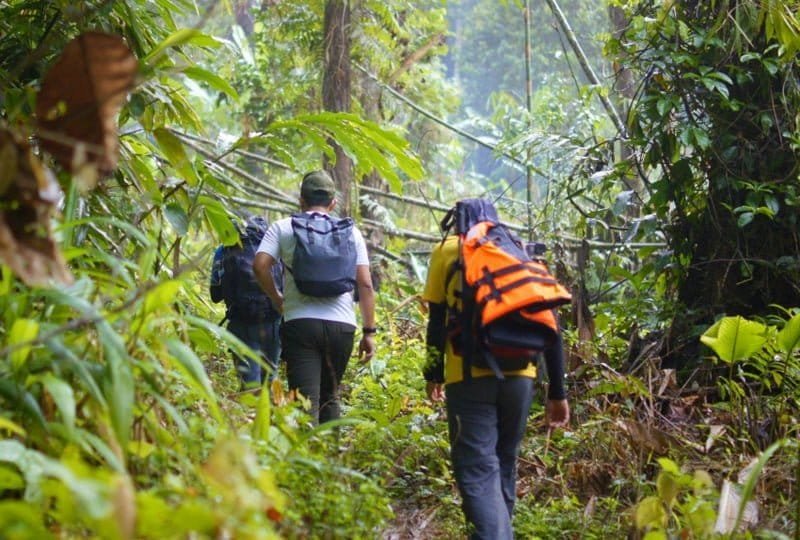 trekking-sinharaja