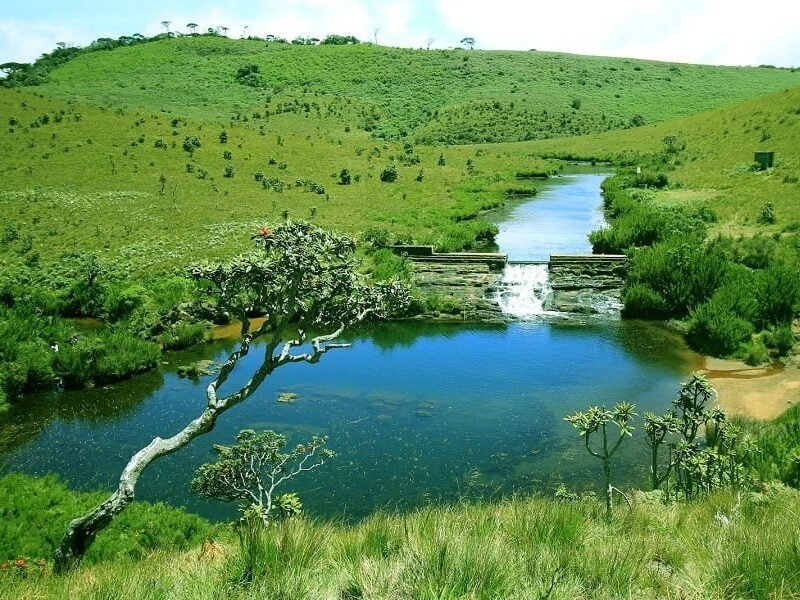 Horton Plains, Nuwaraeliya