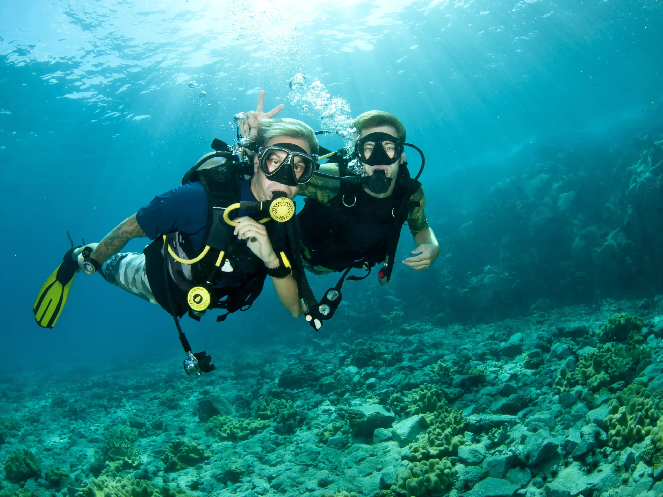 Diving & Snokerling, Kalpitiya