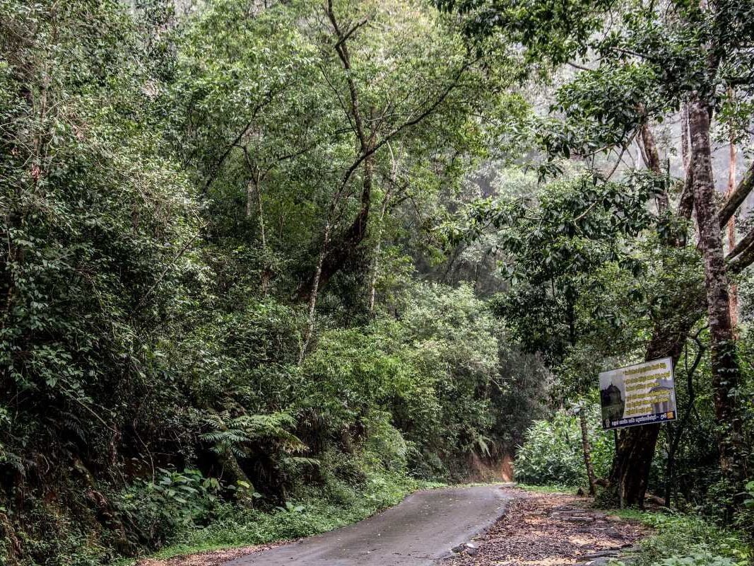 Thangamale Sanctuary, Haputale