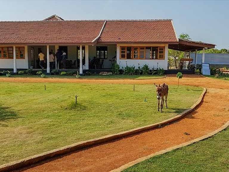 Donkey Clinic, Mannar