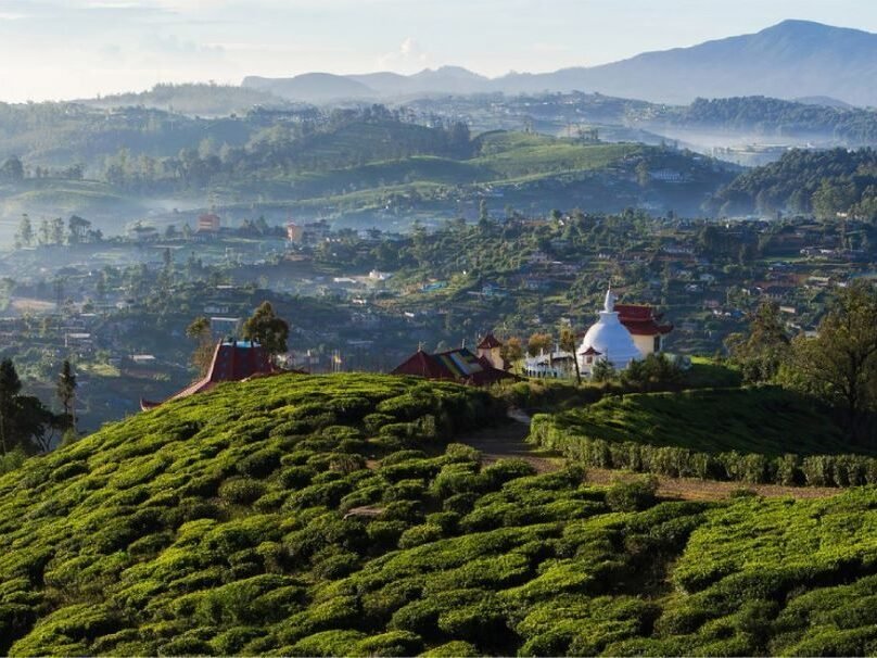 Single Tree Hills, Nuwaraeliya