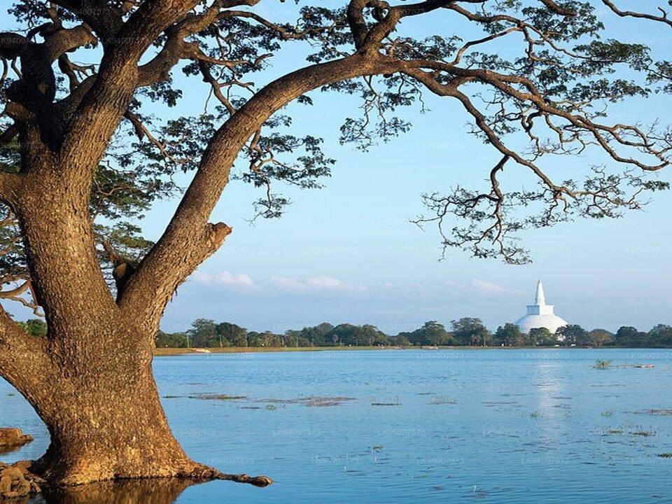 Basawakkulama Wewa, Anuradhapura
