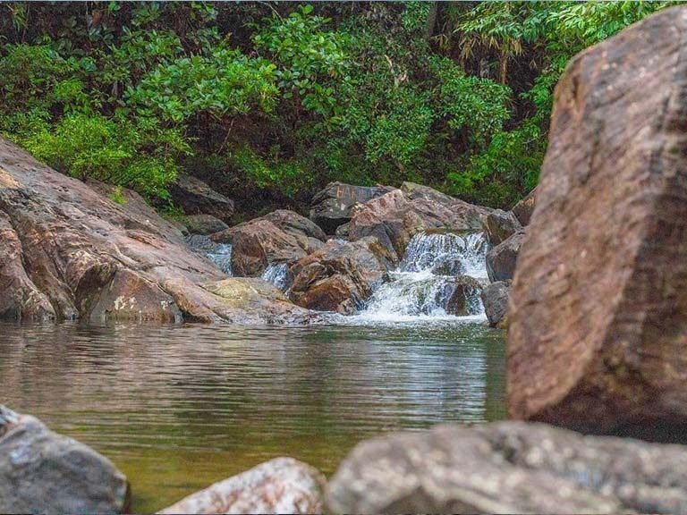 Olu Dola Stream, Sinharaja