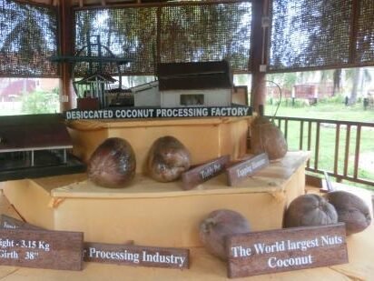 Coconut Culture Park, Batticaloa