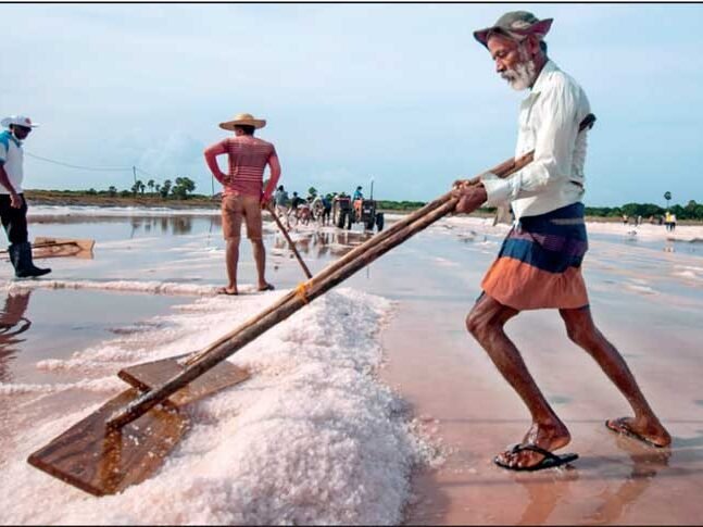 Saltern, Hambantota