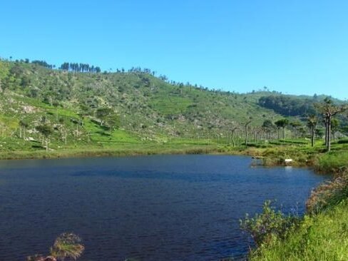 Lake Richmond, Haputale