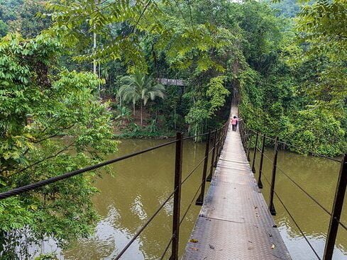 Suspention Bridge, Kitulgala