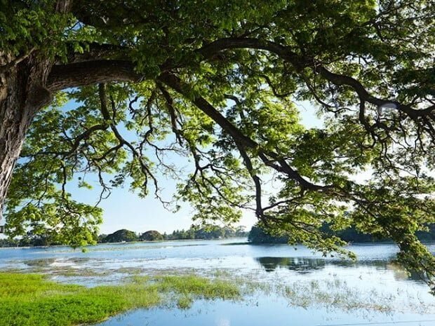 Tissa Wewa, Tissa - Yala
