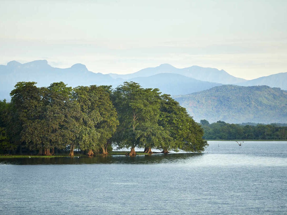 Udawalawa Resovoure, Udawalawa