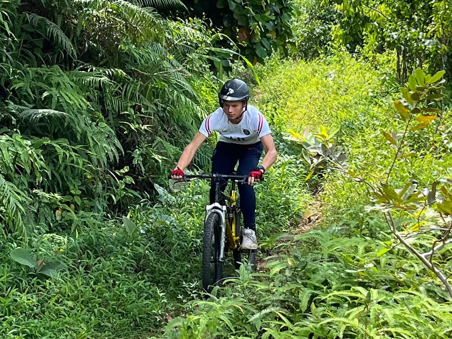 MTB Park, Kitulgala