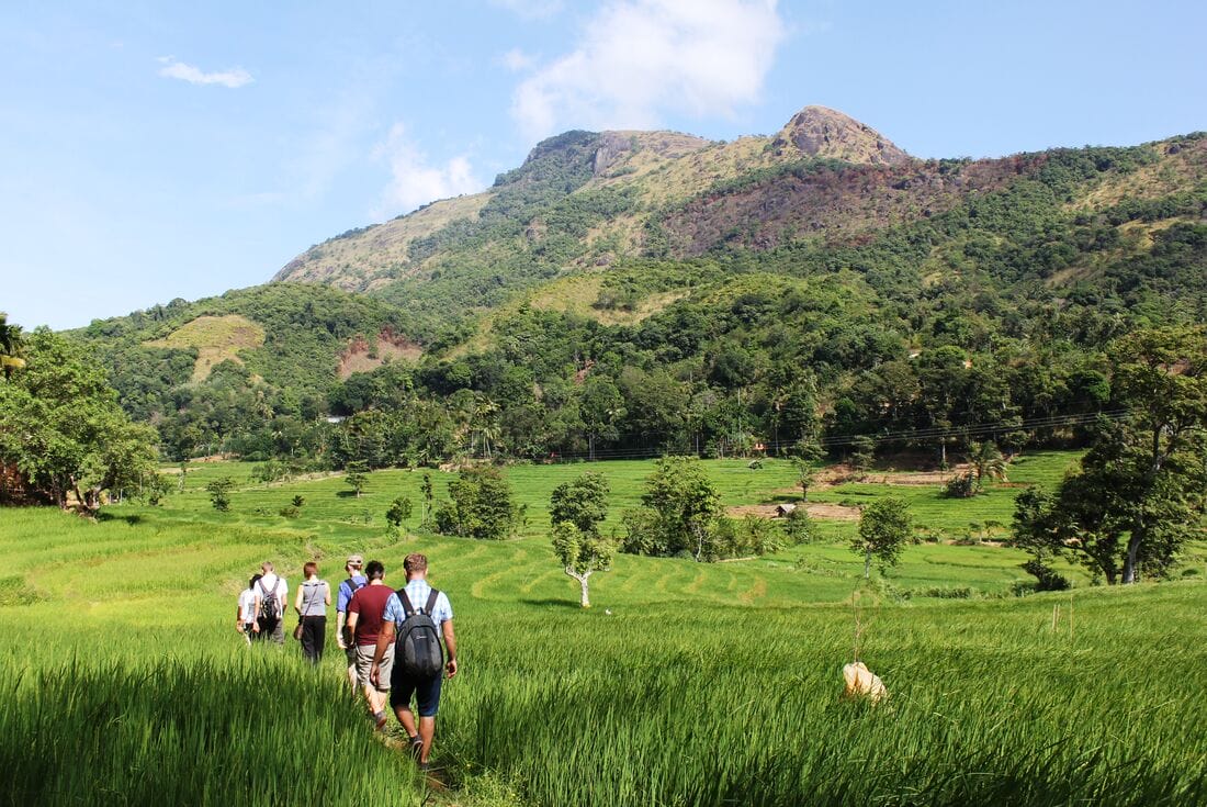 Peregrine Adventures sri lanka group hiking landscape