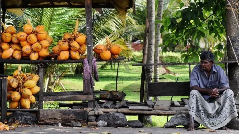 King Coconut, The Elixir of Sri Lanka