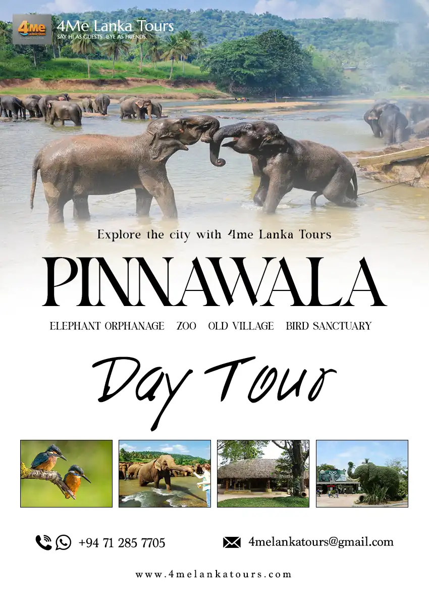 Pinnawala copy